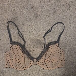 Nwot Jason Wu Nude Polka Dot Mesh Bra Sz 34b